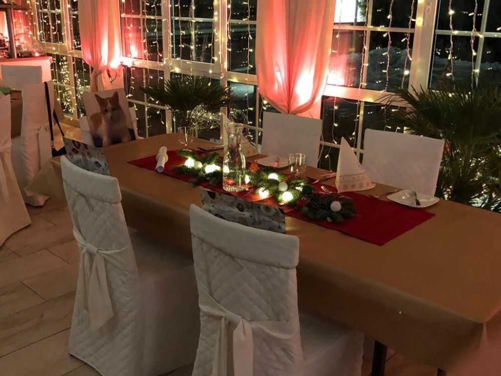 Freie_Trauung_Weiden_deko Deko der Winterhochzeit mit freier Trauung in Weiden